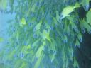DSC00889.JPG