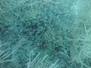 DSC00894.JPG