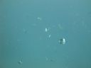 DSC00895.JPG