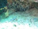 DSC00897.JPG