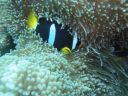 DSC00905.JPG