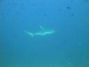 DSC00909.JPG