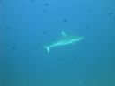DSC00910.JPG