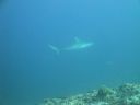 DSC00920.JPG