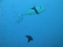 DSC00923.JPG