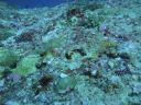 DSC00924.JPG