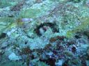 DSC00925.JPG