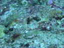 DSC00926.JPG
