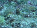 DSC00927.JPG