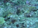 DSC00928.JPG