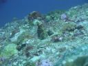 DSC00929.JPG