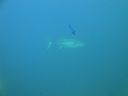 DSC00931.JPG