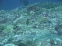 DSC00932.JPG