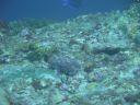 DSC00933.JPG