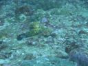 DSC00934.JPG