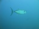 DSC00942.JPG