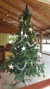 DSC00943-2.jpg