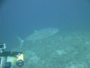 DSC00943.JPG