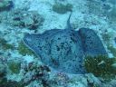 DSC00945.JPG