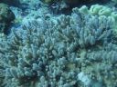 DSC00953.JPG