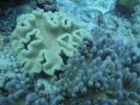 DSC00954.JPG