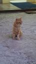 DSC00955-5.jpg