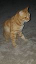 DSC00955-6.jpg