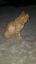 DSC00955-7.jpg