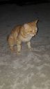 DSC00956-2.jpg