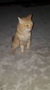 DSC00956-4.jpg
