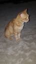 DSC00956-5.jpg