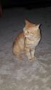 DSC00956-6.jpg