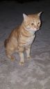 DSC00956-7.jpg