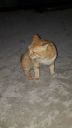 DSC00956.jpg