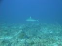 DSC00958.JPG