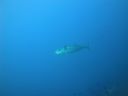 DSC00961.JPG