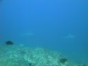 DSC00963.JPG