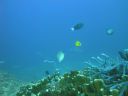 DSC00964.JPG