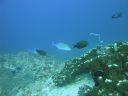 DSC00966.JPG