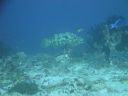 DSC00969.JPG
