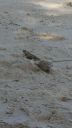 DSC00975-2.jpg