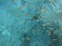 DSC00985.JPG