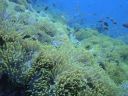 DSC00997.JPG