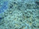 DSC01007.JPG