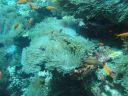 DSC01010.JPG