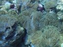 DSC01011.JPG