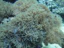DSC01012.JPG