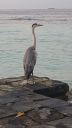 DSC01013-13.jpg