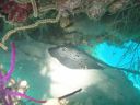 DSC01025.JPG