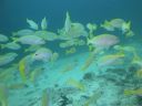 DSC01026.JPG